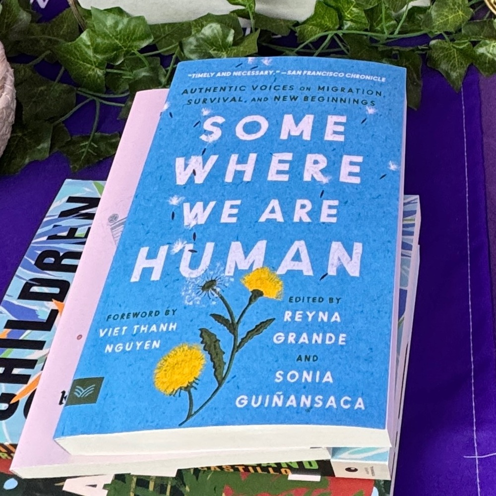 Somewhere We Are Human novel